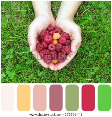 Woman's hands with a raspberry on a background of green grass, colour palette with color swatch