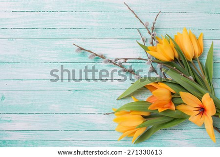 Fresh  spring yellow tulips flowers  and willow branches on turquoise  painted wooden background. Selective focus. Place for text.  