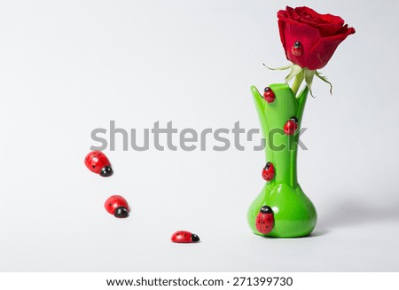 composition with red rose