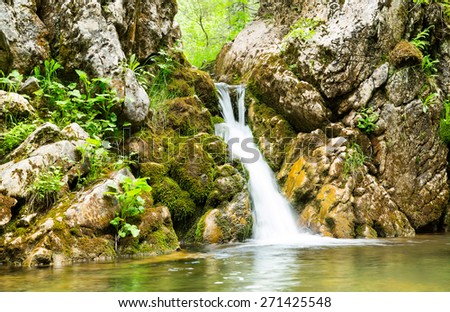 Waterfall in the forest of Montenegro