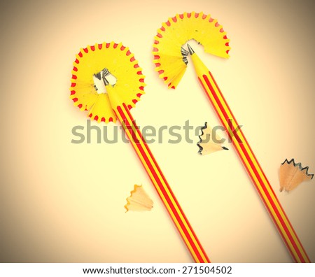two pencil flowers on the white background.