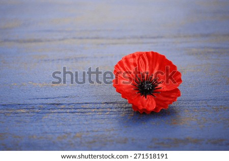 USA Memorial Day concept of red remembrance poppy on dark blue vintage distressed wood table, with copy space. 