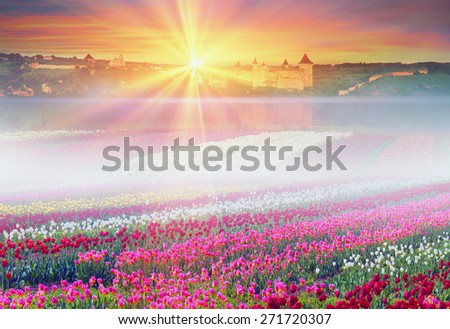  turning into a very beautiful time of year, when they begin to blossom on the background of bright colors in sunrises and sunsets. Manufacturers calendars, artists, photographers appreciate this time