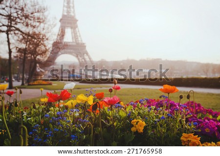 Paris, flowers and Eiffel tower