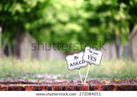 Word quotes of HE ASKED, SHE SAID YES on card board against blurred green background. Selective focus. Royalty-Free Stock Photo #272084051