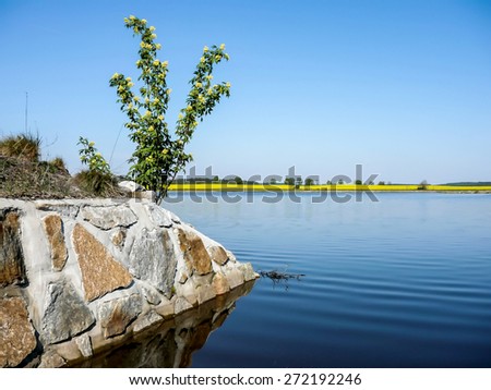 Summer landscape near shore of water with blue sky.