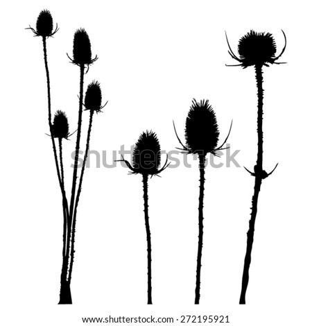Thistle - group and separate - isolated - black silhouette - vector 