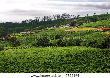 A beautiful wine farm against the hills of the Western Cape in South Africa. A cloudy day with spots of sunlight on the farmhouse and other buildings. Royalty-Free Stock Photo #2722194