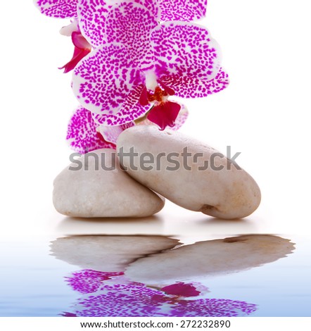 Spa treatment massage stones, with pink  orchid.