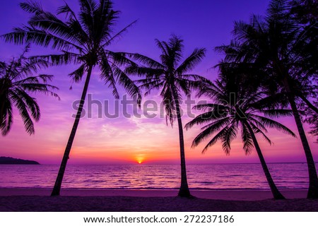 Palm trees silhouette at sunset Royalty-Free Stock Photo #272237186
