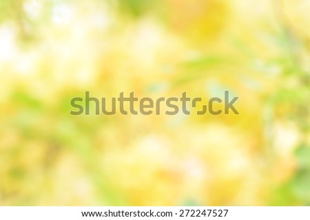 summer sunlight with beautiful defocused yellow flowers abstract nature background with green leaves yellow flowers and bokeh lights.