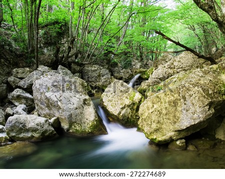 Small river in motion blur, flowing through green forest.