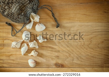top view of natural seashells on wooden table