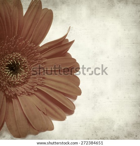 textured old paper background with gerbera