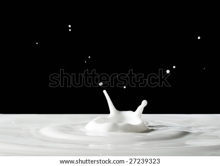 splashing milk drop, white black