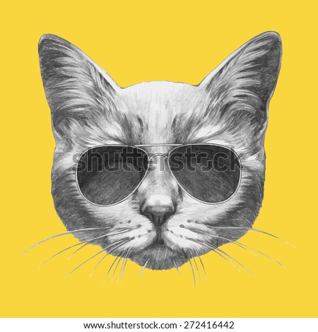 Hand drawn portrait of Cat with sunglasses. Vector isolated elements.