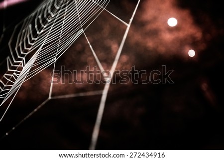Partial blur view of spider web with fine lines in front of obscured black and brown cave background with sparkling lights