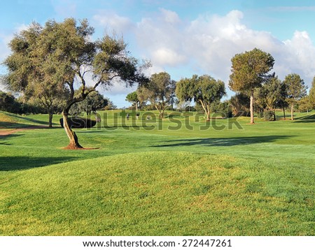   Sunny Morning On A Green Golf Course        