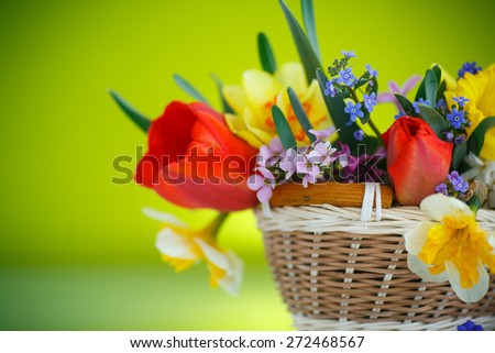 beautiful bouquet of spring flowers on a green background