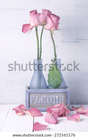 Wilted roses in rustic vase and fallen petals on wooden background. Vintage stylized, filtered image.