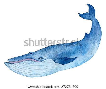 blue whale - watercolor hand drawing vector paint 