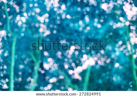 Natural blurred bokeh from trees.filtered background . 