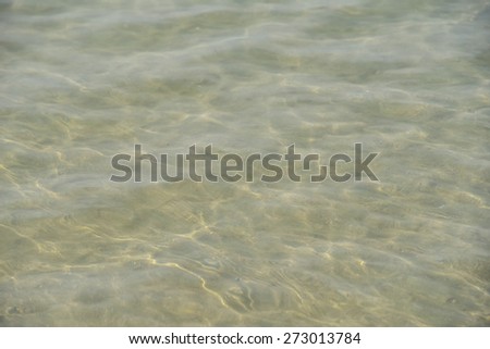 Surface of the water in tropical sea.