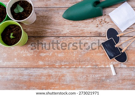 gardening and planting concept - close up of seedlings, garden trowel, seeds and nameplates on table