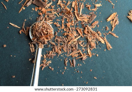 Closeup of chocolate chips on a spoon. Shallow depth of field.