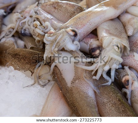 In the picture a set of Patagonian squid defrosted put on ice