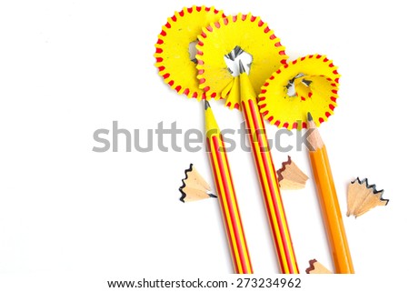 three pencil flowers on white backdrop with copy space