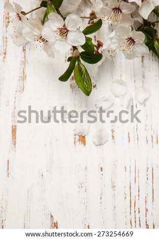 spring cherry  blossom on a old wood background