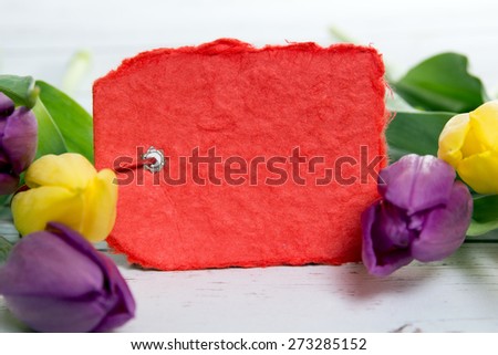 Tulips and blank small red shield / Tulips and shield