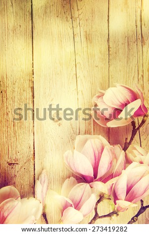 Magnolia branch on old wooden background.
