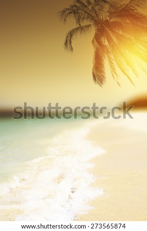 Tropical beach at sunset with coconut palm silhouette. Vintage effect.