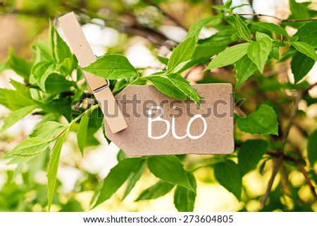 nature greeting card background - bio