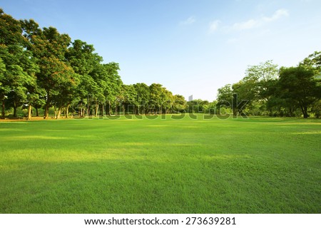 beautiful morning light in public park with green grass field and green fresh tree plant perspective to copy space for multipurpose Royalty-Free Stock Photo #273639281