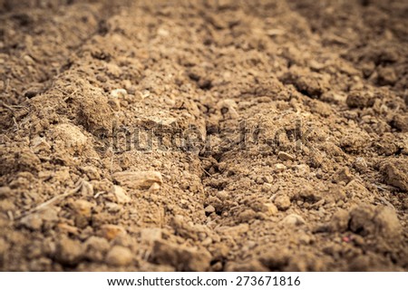 Ploughed field, soil close up, agricultural background