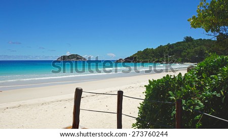 white sand on tropical beachon the seychelles
