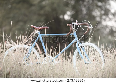 beautiful image with sport vintage Bicycle at grass field