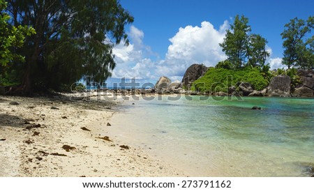 wild natural beach on mahe on the seychelles