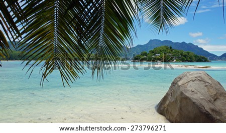 wild green tropical coast of mahe island