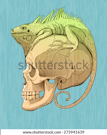 colorful  illustration with iguana and skull