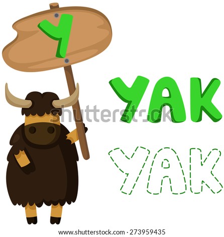animal alphabet y with yak