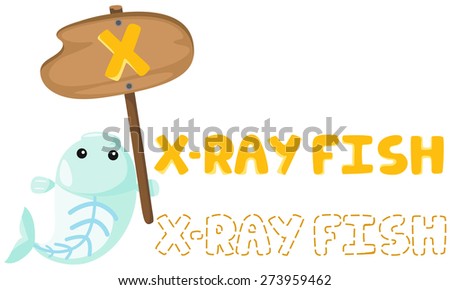 animal alphabet x with x-ray fish