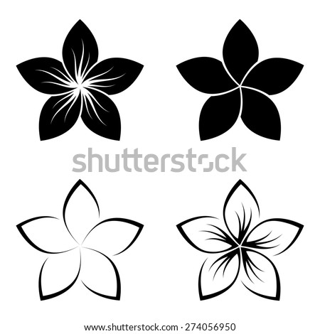 Four frangipani silhouettes for design vector/ Royalty-Free Stock Photo #274056950