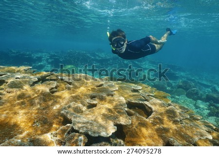 Man snorkeling underwater over tropical reef with large elkhorn coral in the Caribbean sea, Mexico