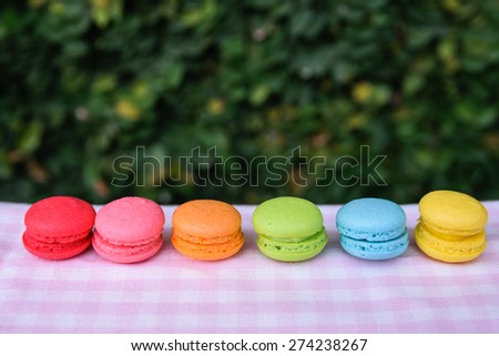 colorful mini macarons with blur garden background