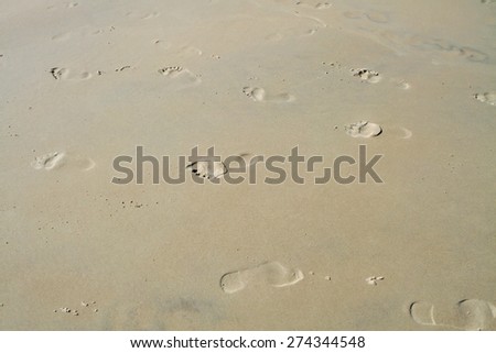  human feet in the sand