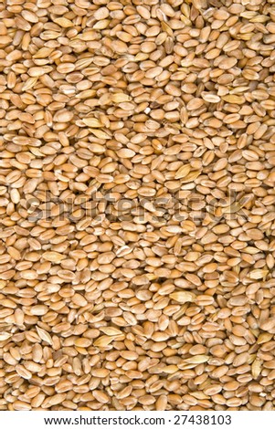 Background,fabric from cereal grains.